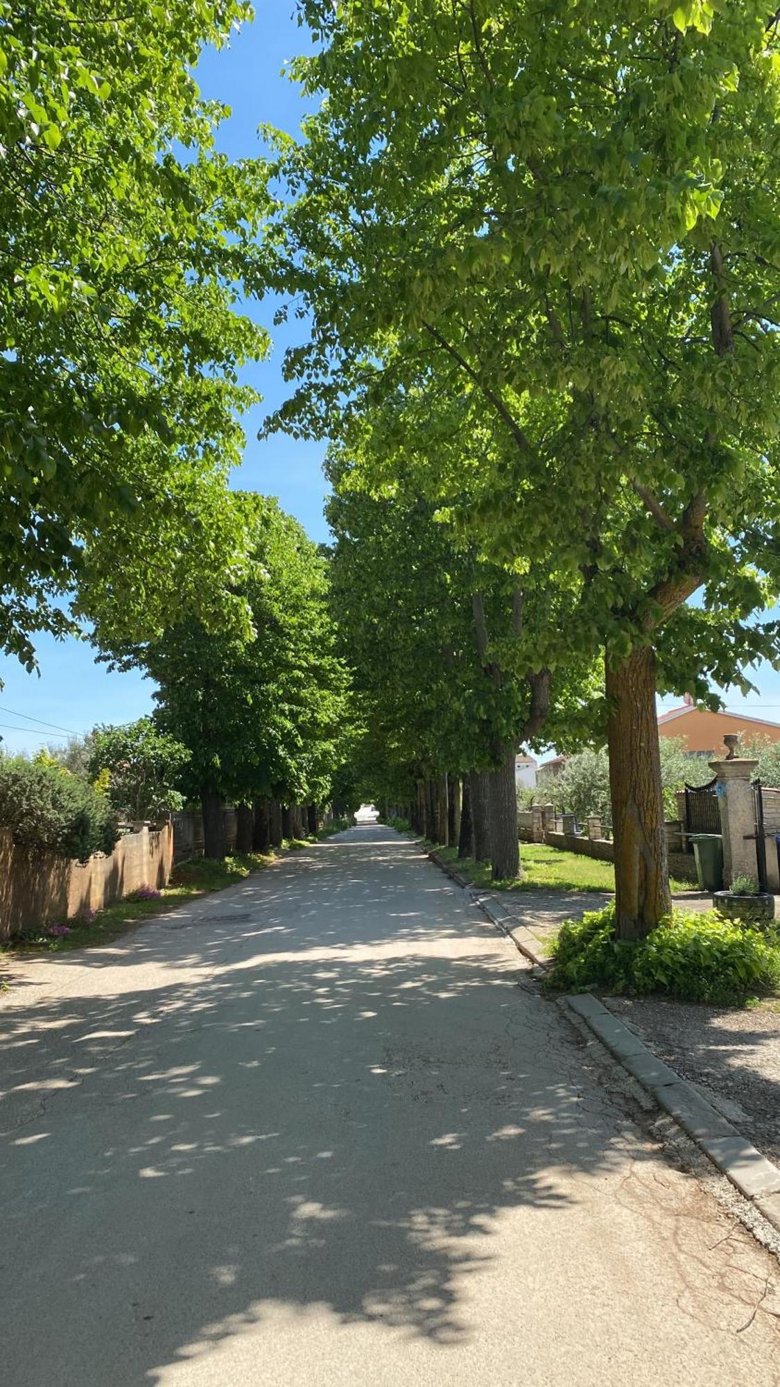 Apartment Vodnjan Luaran gambar